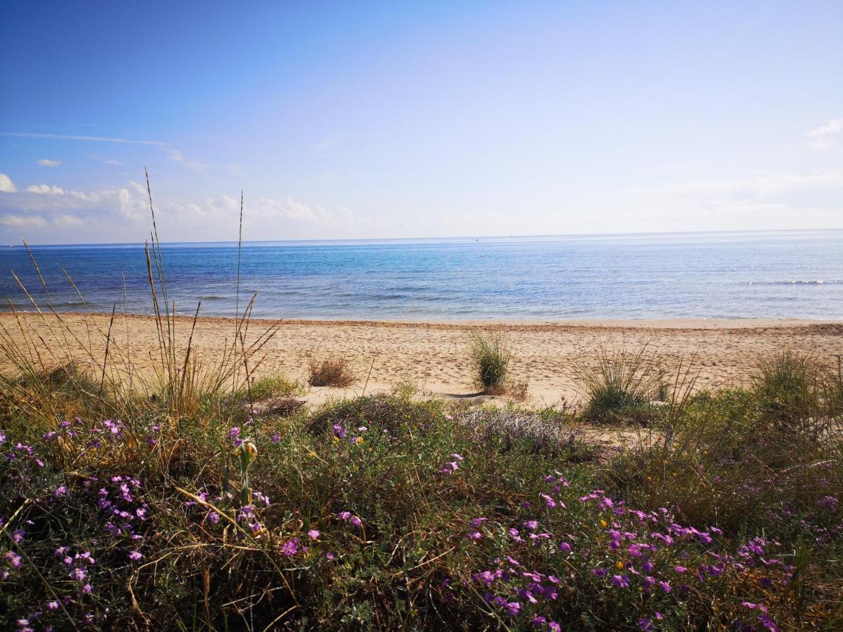 Apartamento Con Vistas Al Mar أوليفا المظهر الخارجي الصورة